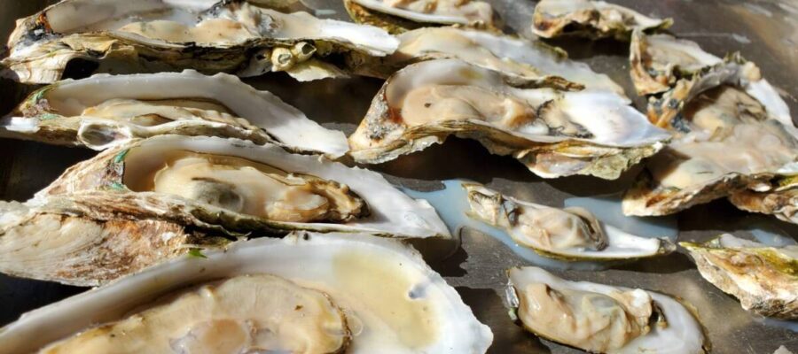 Fall Oyster Fest tickets are ready